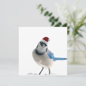 Holiday Blue Jay Kaart (Staand voorkant)