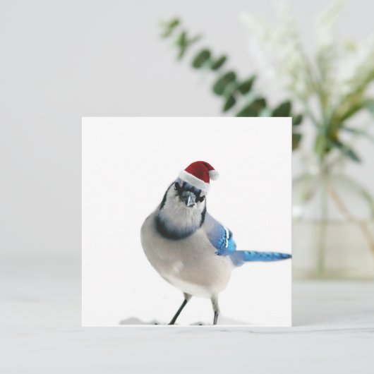 Holiday Blue Jay Kaart (Staand voorkant)