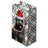 Holiday Bouvier en Festive Pset Kerstmis Klein Cadeauzakje (Achterkant Gekanteld)