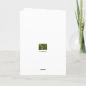 Holiday card, Everglades Feestdagen Kaart (Achterkant)