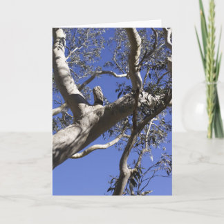 Holiday card, Everglades Feestdagen Kaart