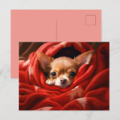 Holiday Chihuahua Briefkaart (Voorkant / Achterkant)