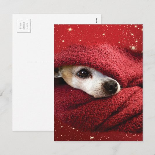 Holiday Chihuahua Feestdagenkaart (Voorkant / Achterkant)
