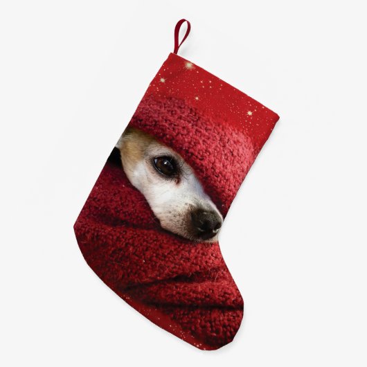 Holiday Chihuahua  Kleine Kerstsok (Voorkant (Hangend))