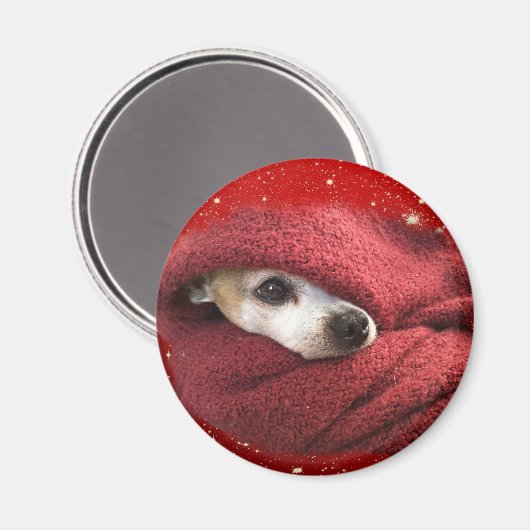 Holiday Chihuahua Magneet (Voorkant / Achterkant)