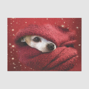 Holiday Chihuahua Tissuepapier