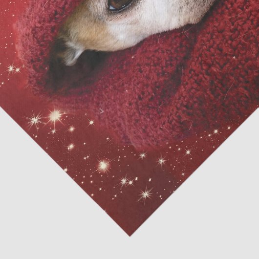 Holiday Chihuahua Tissuepapier (Detail)