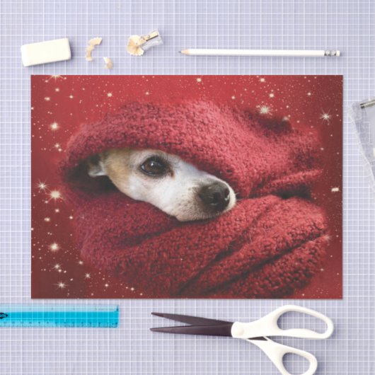 Holiday Chihuahua Tissuepapier (Craft)