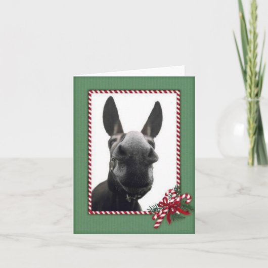 Holiday Cody Feestdagen Kaart (Voorkant)