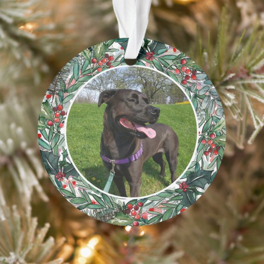 Holiday Dog of Cat One Photo Pet Ornament (Boom)