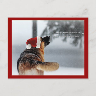Holiday German Shepherd Feestdagenkaart