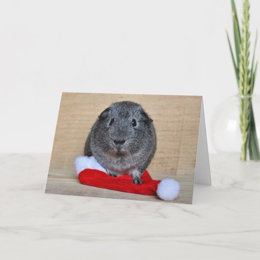 Holiday Guinee Pig Feestdagen Kaart (Voorkant)