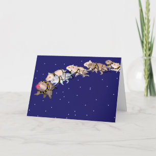 Holiday Hamsters Feestdagen Kaart