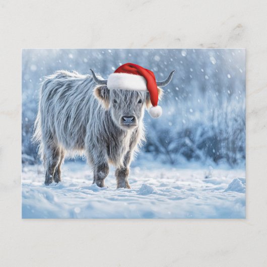 Holiday Highland Calf in the Snow Cute Briefkaart (Voorkant)