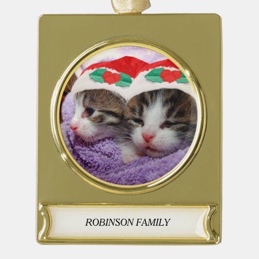 Holiday Kittens met Red Santa Hats Familienaam Verguld Banner Ornament (Voorkant)