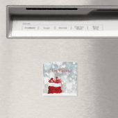 Holiday Magnet (Insitu (Vaatwasser))