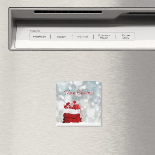 Holiday Magnet (Insitu (Vaatwasser))