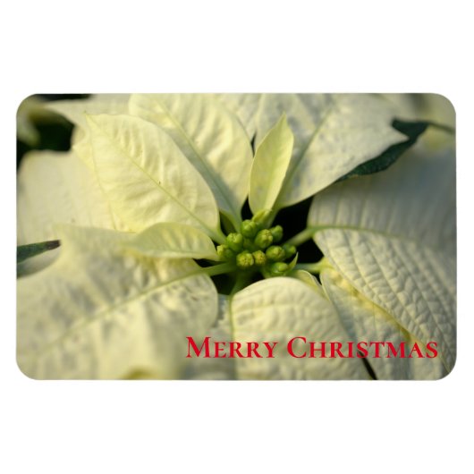 Holiday Magnet-Poinsettia Magneet (Horizontaal)