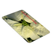 Holiday Magnet-Poinsettia Magneet (Rechterzijde)