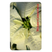 Holiday Magnet-Poinsettia Magneet (Verticaal)