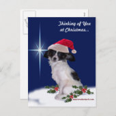 Holiday Papillon Postcard Feestdagenkaart (Voorkant / Achterkant)