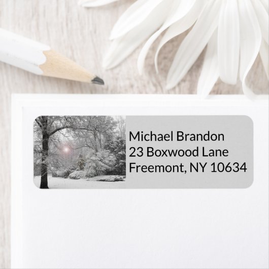 Holiday peace snow sun return label (Insitu)