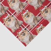 Holiday Pomeranian Dog Red Plaid Christmas Tissuepapier (Detail)