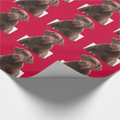 Holiday Red Background Chocolate Lab Dog Puppy Pet Cadeaupapier (Hoek)