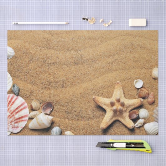 Holiday Seashells Beach Tissuepapier (Craft)