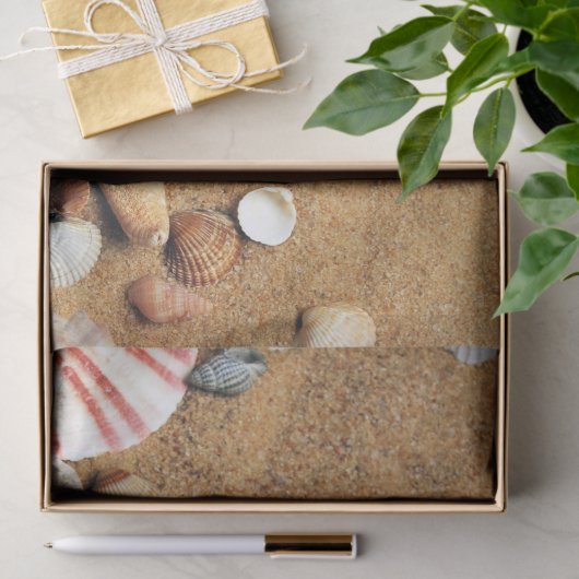 Holiday Seashells Beach Tissuepapier (Geschenk)