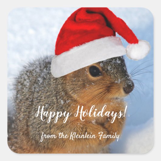 Holiday Squirrel Vierkante Sticker (Voorkant)