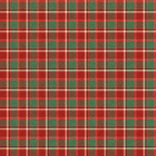 Holiday Tartan Towel Red Green Gift for the Season Bad Handdoek