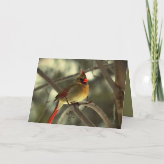 Holiday Vrouw Cardinal Feestdagen Kaart (Voorkant)