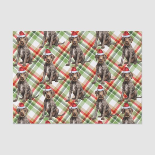 Holiday Wirehaired Pointer Dog Red Plaid Christmas Tissuepapier (Voorkant)