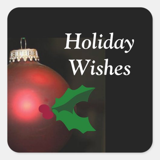 HOLIDAY WISHEERT DE SEAL EN HET KERST STICKER TE B (Voorkant)