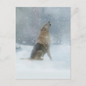 Holiday Wolf en Snow Happy Howlidays Briefkaart (Voorkant)