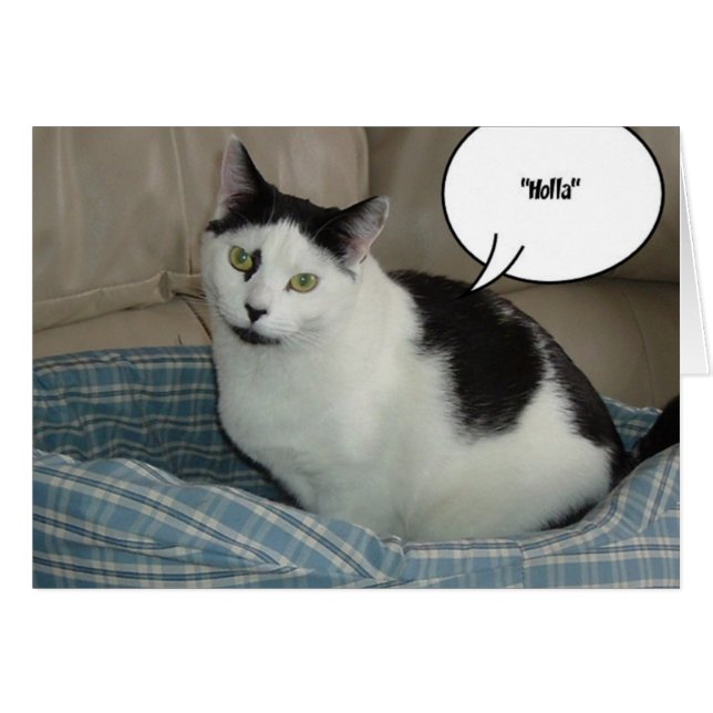 Holla (Voorkant Horizontaal)