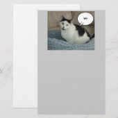 Holla Cat Humor Briefpapier (Voorkant / Achterkant)