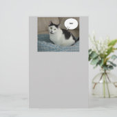 Holla Cat Humor Briefpapier (Staand voorkant)