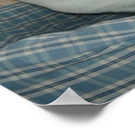 Holla./Hallo Poster (Hoek)