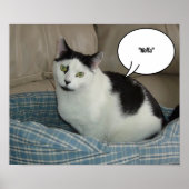 Holla./Hallo Poster (Voorkant)