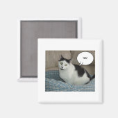 Holla. Magneet (Voorkant / Achterkant)