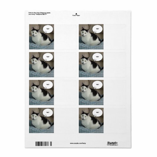 Holla /Raise de Roof! Etiket (Full Sheet)