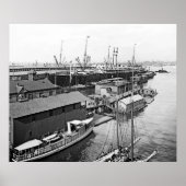 Holland America Line Poster (Voorkant)