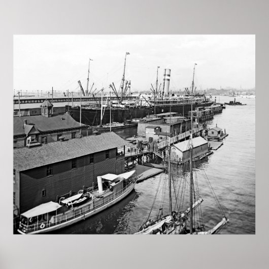 Holland America Line Poster (Voorkant)