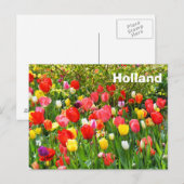 Holland Briefkaart (Voorkant / Achterkant)