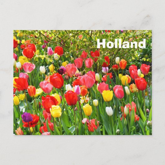 Holland Briefkaart (Voorkant)