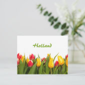 Holland, Briefkaart van de tuinbouw van de lente (Staand voorkant)