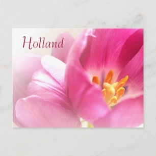 Holland, Briefkaart van lentetelers