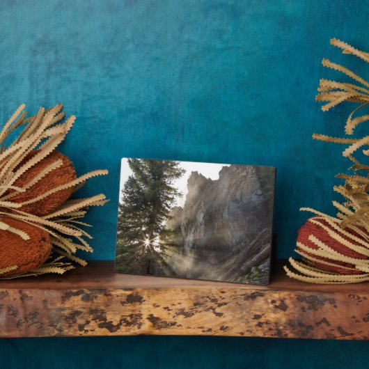 Holland Herfsten | Lolo National Forest, Montana Fotoplaat (Zijkant)